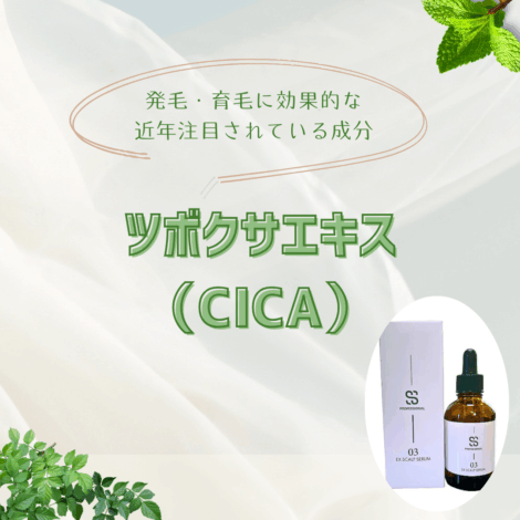 発毛・育毛に効果的な【ツボクサエキス】