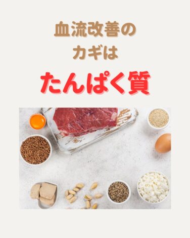 血流改善のカギは【たんぱく質】
